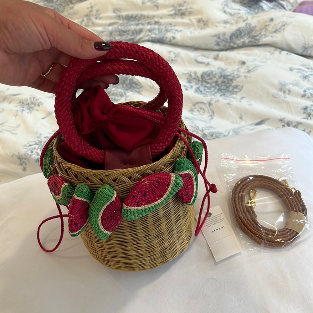 Serpui Watermelon Bag